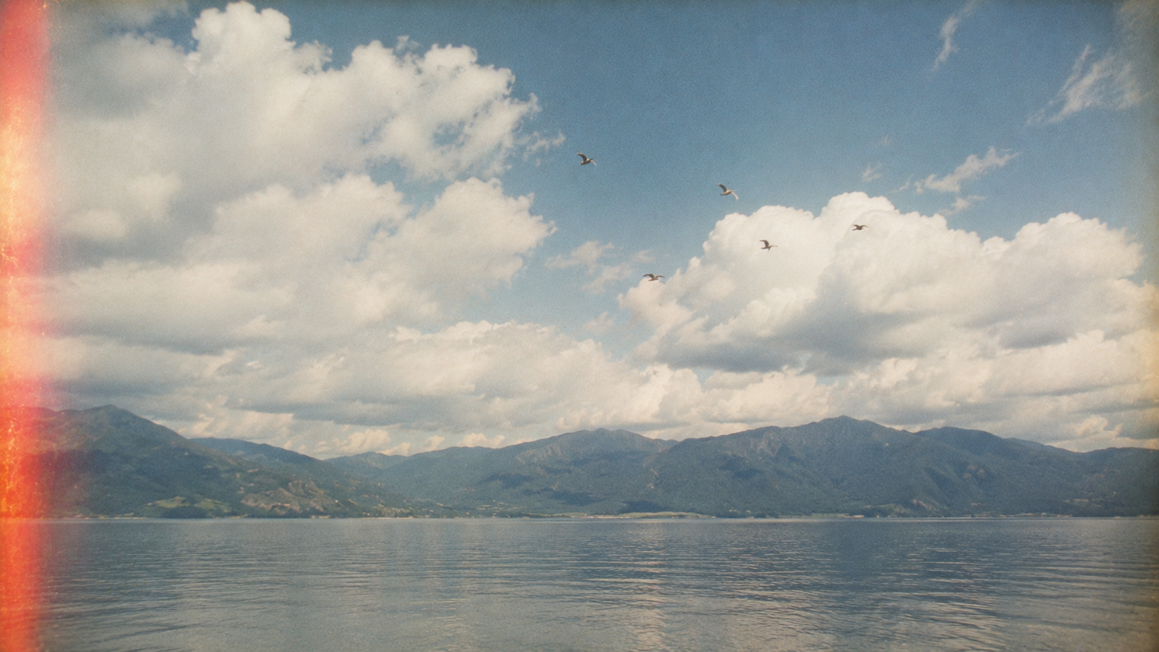 Mountain ridge with bird